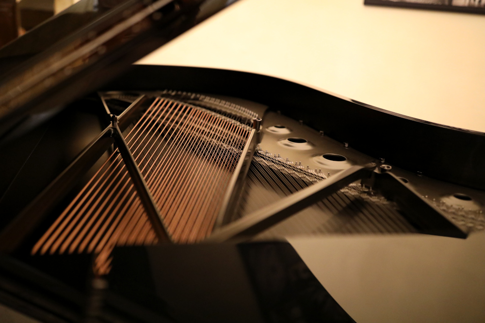 Tavola armonica pianoforte Steinway