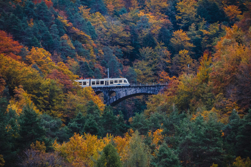 treno del foliage lombardia