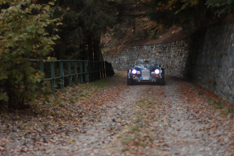 Morgan plus 4 foliage