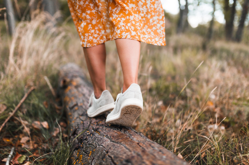 forest bathing dove farlo