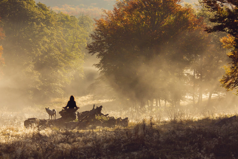 forest bathing mindfulness