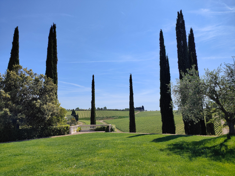 chianti classico toscana tolaini