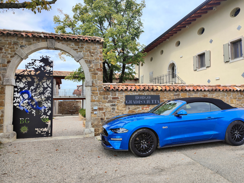 mustang collio