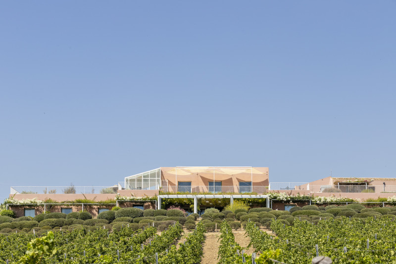 wine resort sicilia_la foresteria