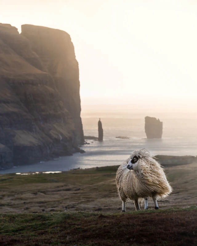 faroe island dove si trovano