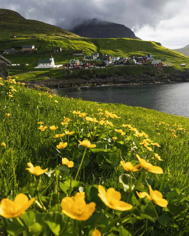 isole faroe natura