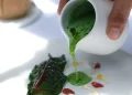 tartare di tinca ristorante vista lago di como