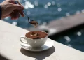 tiramisu ristoranti sul lago di como con vista