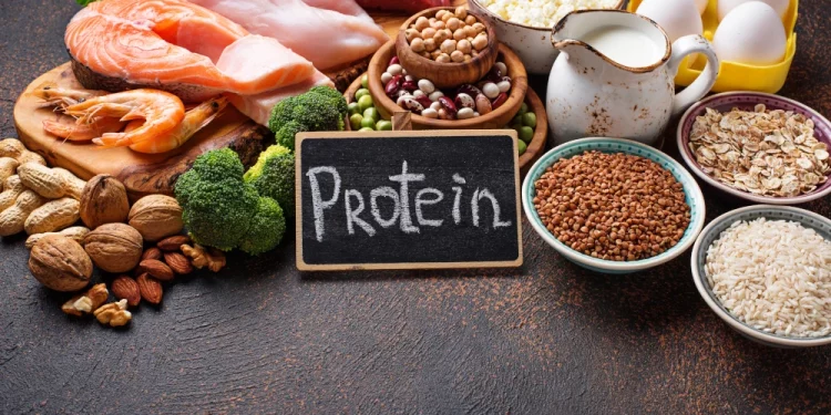 prodotti proteici alimenti