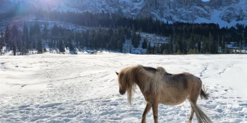 come modificare foto con intelligenza artificiale