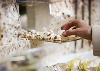 festa del torrone cremona